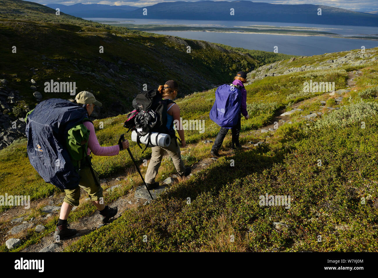 Woman and two teenage girls on hiking trip, on the Laponia Circuit, along the Padjelantaleden trail, Padjelanta National Park and Sarek National Park, Norrbotten, Lapland, Sweden.  Model released Stock Photo