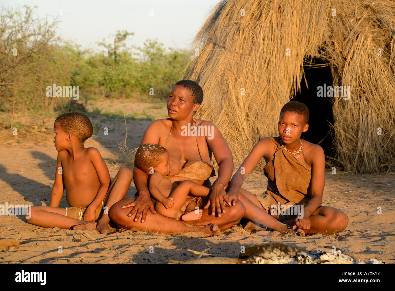 Naro San woman and children sitting in front of their hut in the evening light with baby suckling. Kalahari, Ghanzi region, Botswana, Africa. Dry season, October 2014. Stock Photo