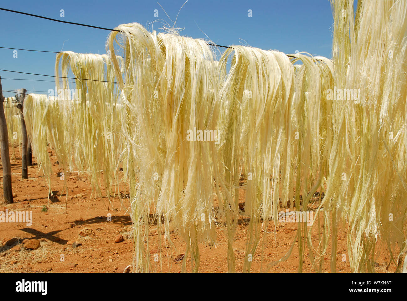 Sisal factory in madagascar sisal hires stock photography and images