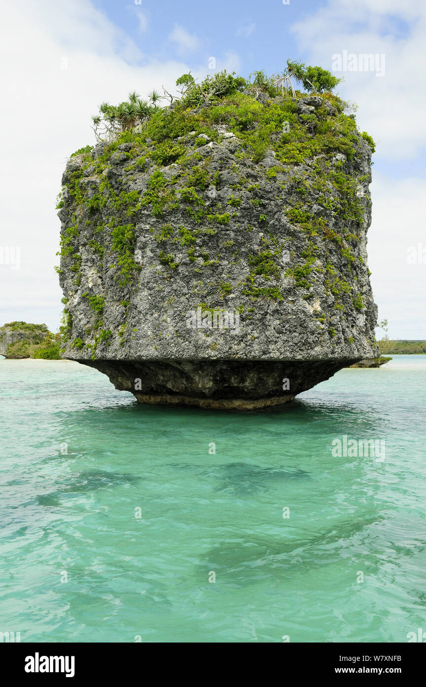 Rocky islet with lower half eroded by the sea, Ile des Pins (Pine Island), New Caledonia, September 2008. Stock Photo