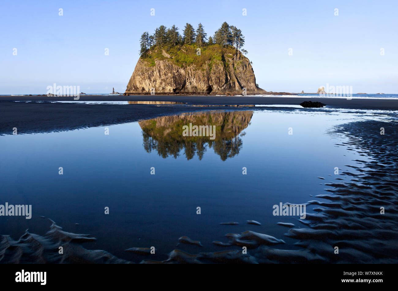 Seastack reflected in water, Second Beach, Olympic National Park, Washington, USA, May 2014. Stock Photo