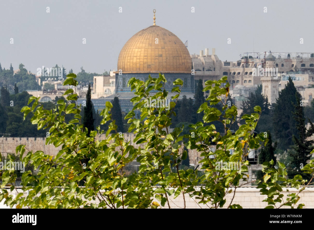 Jerusalem, Israel. 7th August, 2019. The golden Dome of the Rock and mosque of Haram al Sharif, The Noble Sanctuary, on Temple Mount was built over the Foundation Stone at the exact location of the Jewish temples. Religious Jews are in the midst of observing the 'Three Weeks' or 'Bein HaMetzarim', a period of mourning over the destruction of the first and second Jewish Temples, a period that will climax on the ninth day of the Jewish month of Av, observed beginning the evening of 10th August, 2019. Credit: Nir Alon/Alamy Live News. Stock Photo
