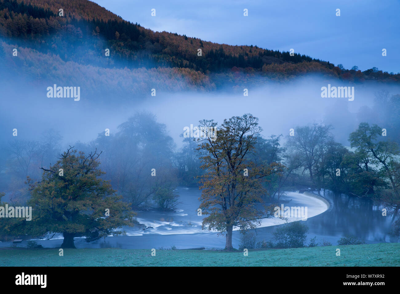 Autumn mist in Dee Valley (Dyffryn Dyfrdwy) near Llangollen, Denbighshire, Wales, UK, November 2013. Stock Photo