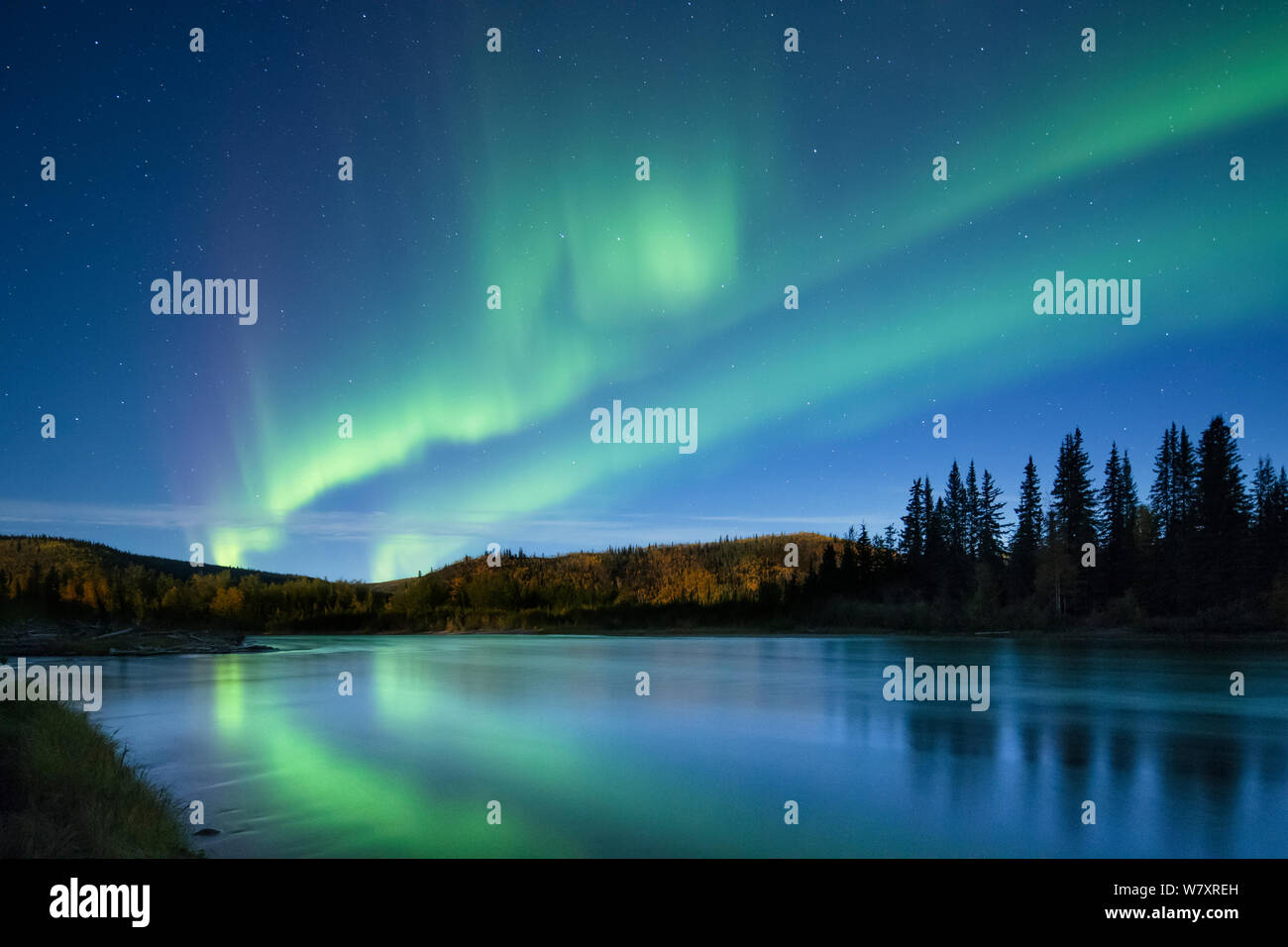 Aurora Borealis (Northern Lights) over the Klondike River, Yukon Territories, Canada, September 2013. Stock Photo