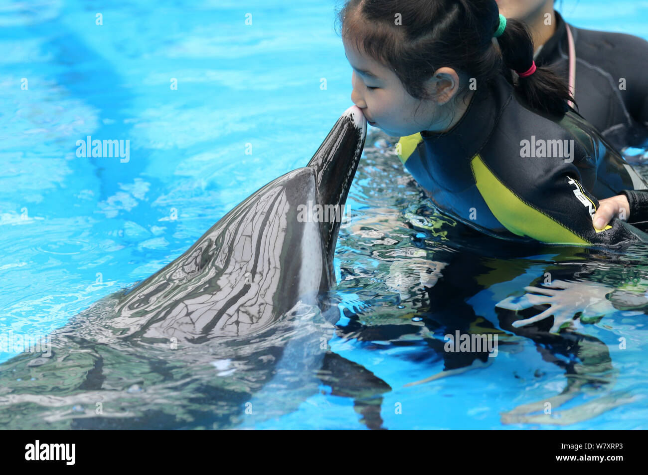 Chinese autistic girl Chenchen interacts with a dolphin under the help of a trainer at Chengdu Haichang Polar Ocean Park in Chengdu city, southwest Ch Stock Photo