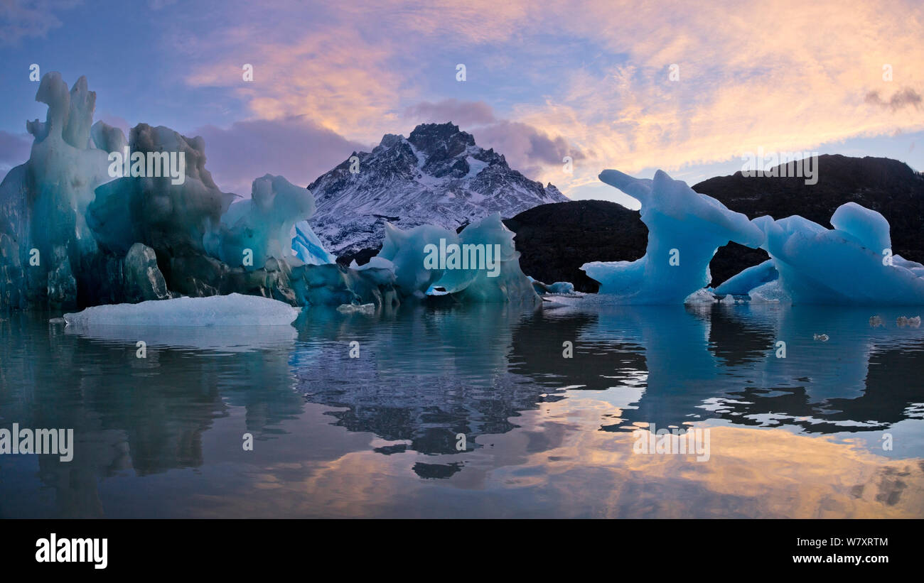 Giant icebergs drifting on Lago Grey at dawn, with a view of Paine Grande in the distance. Torres del Paine National Park, Chile, June 2014. Stock Photo