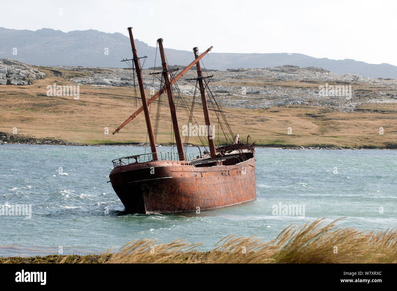 Lady Elizabeth shipwreck, Whale Bone Cove, Falkland Islands. The ship was built in Sunderland, England, and launched on the 6th June 1879. March 2014. Stock Photo
