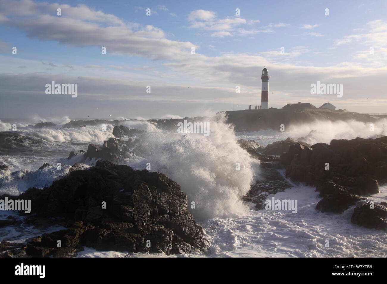 Heavy seas crashing against the coast at Buchan Ness Lighthouse, north-east Scotland, January 2014. All non-editorial uses must be cleared individually. Stock Photo