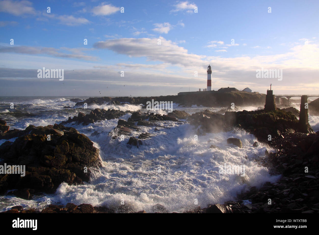 Heavy seas crashing against the coast at Buchan Ness Lighthouse, north-east Scotland, January 2014. All non-editorial uses must be cleared individually. Stock Photo