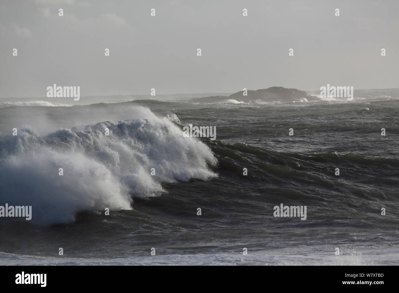Rough seas with waves rolling ashore, north-east Scotland, January 2014. All non-editorial uses must be cleared individually. Stock Photo