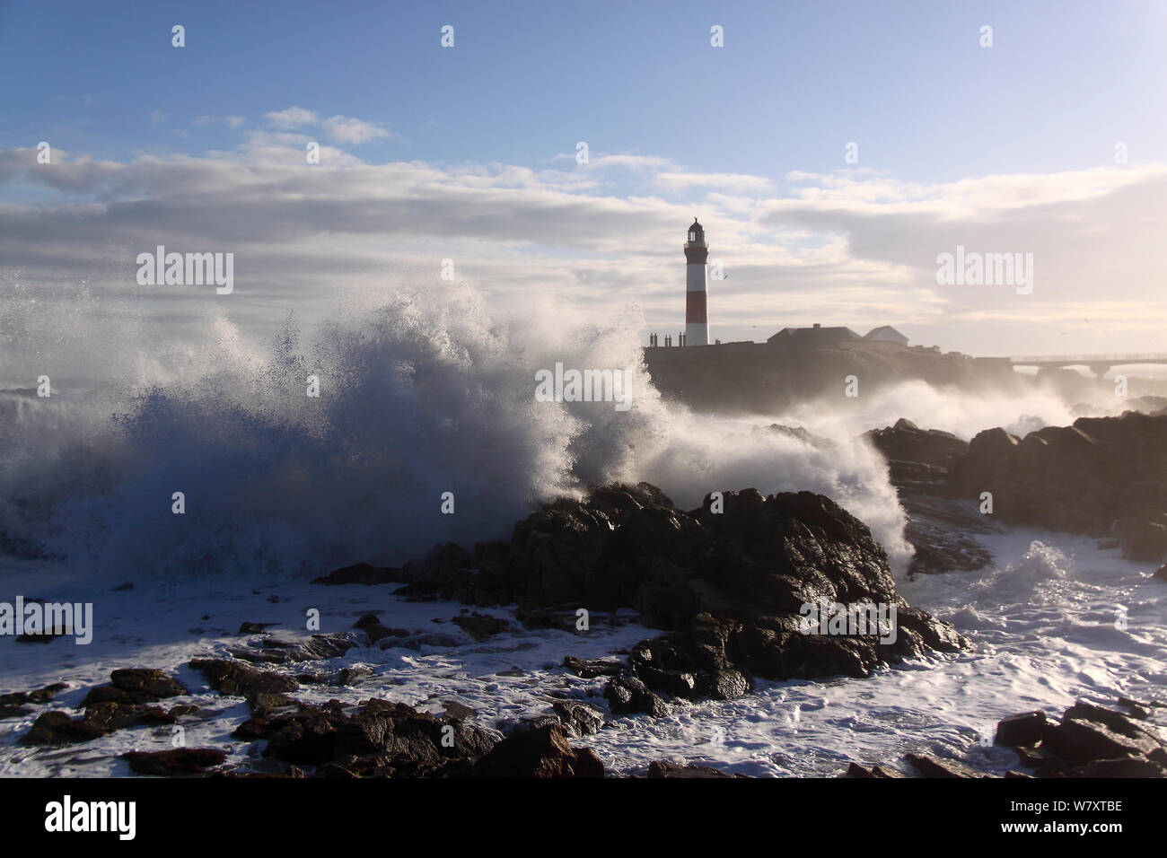 Heavy seas crashing against the coast at Buchan Ness Lighthouse, north-east Scotland, January 2014. All non-editorial uses must be cleared individually. Stock Photo