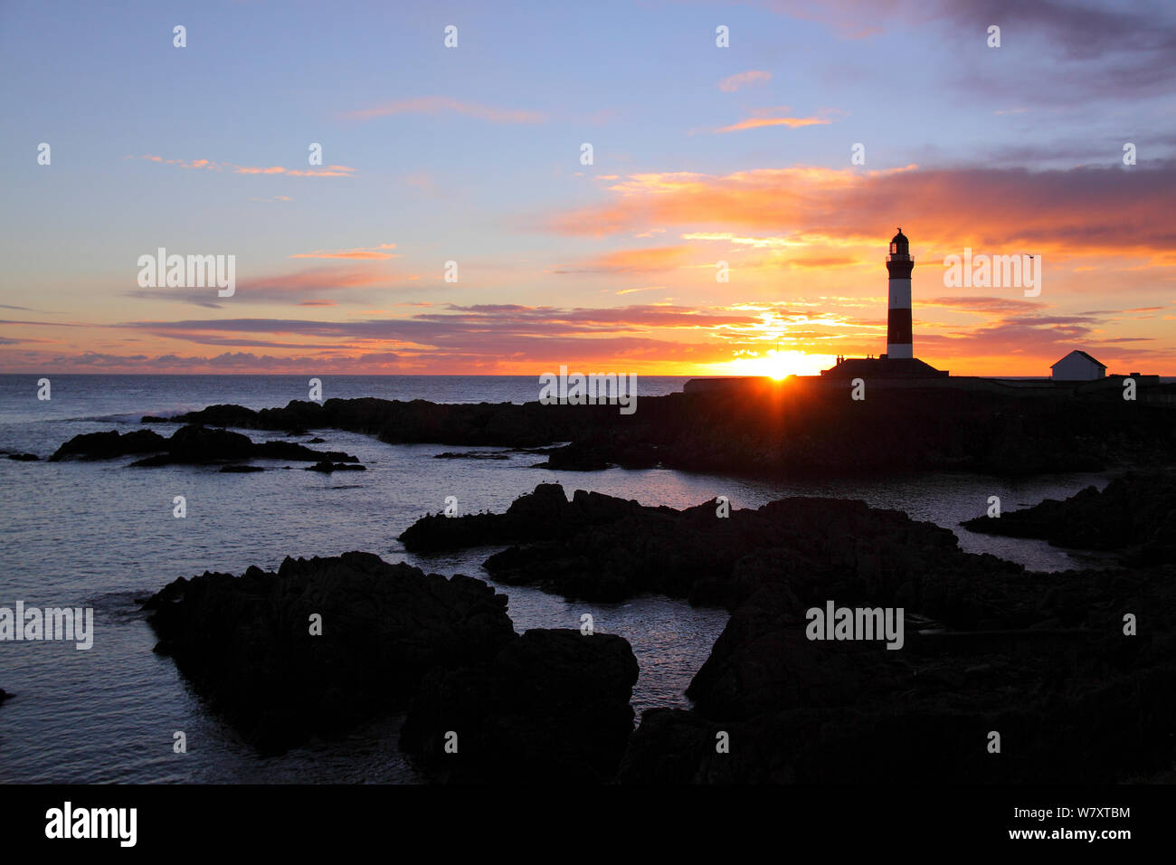 Buchan Ness Lighthouse at sunrise, Scotland, January 2014. All non-editorial uses must be cleared individually. Stock Photo