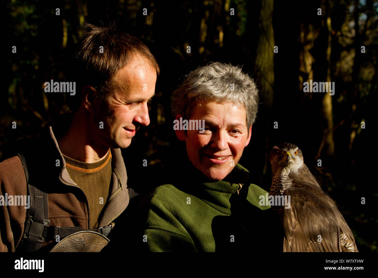 Rose and Lloyd Buck, professional bird handlers and trainers, holding adult female Goshawk (Accipiter gentilis) Somerset, UK, January 2013. Captive, occurs throughout much of the Northern Hemisphere. Stock Photo