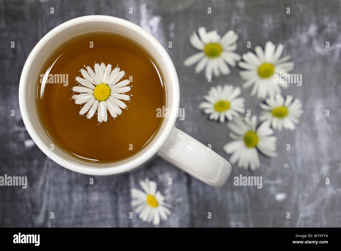 Chamomile tea in a white cup and daisy flowers on a dark wooden table, healing herbal drink Stock Photo