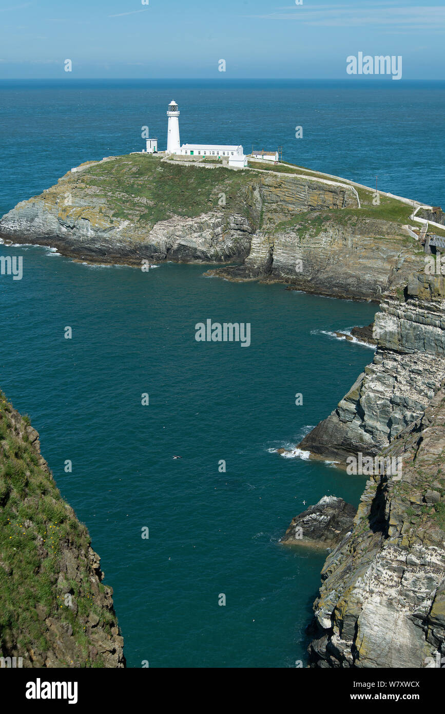 Lighthouse on South Stack RSPB Reserve, Anglesey, Wales. July 2014. Stock Photo