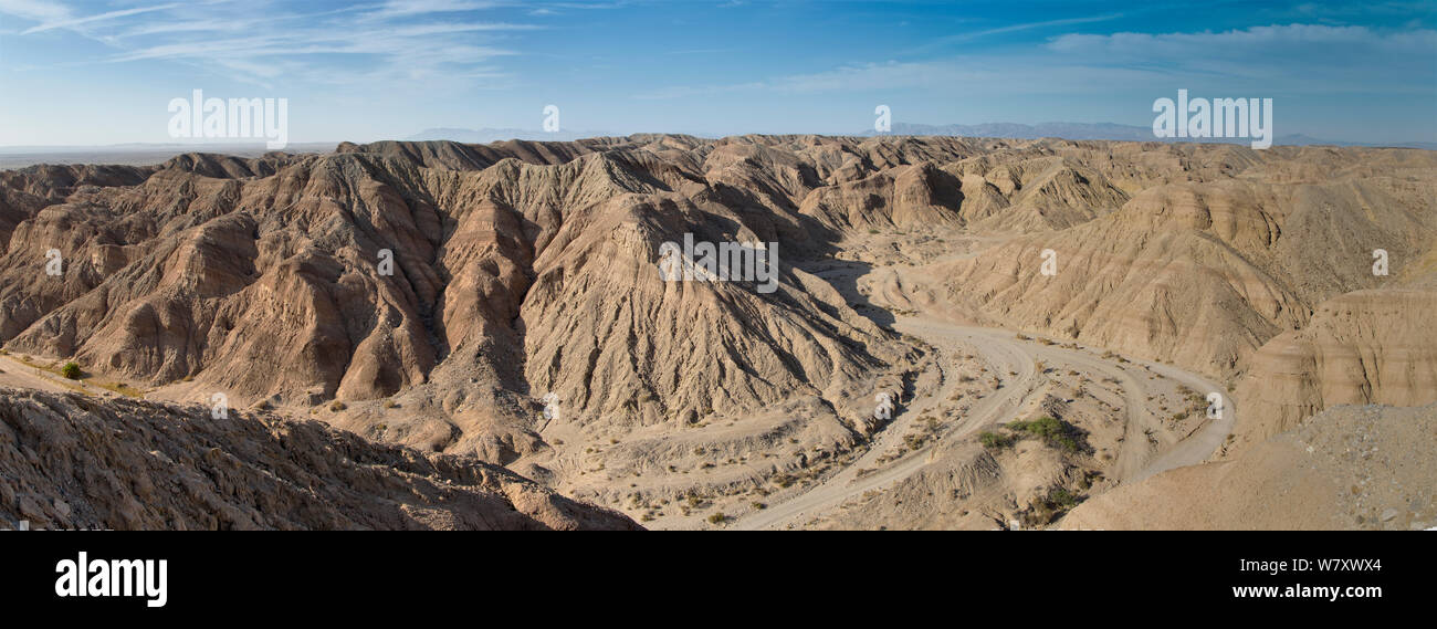 Eroded dry river bed, Anza-Borrego Desert, California, USA, May. Stock Photo