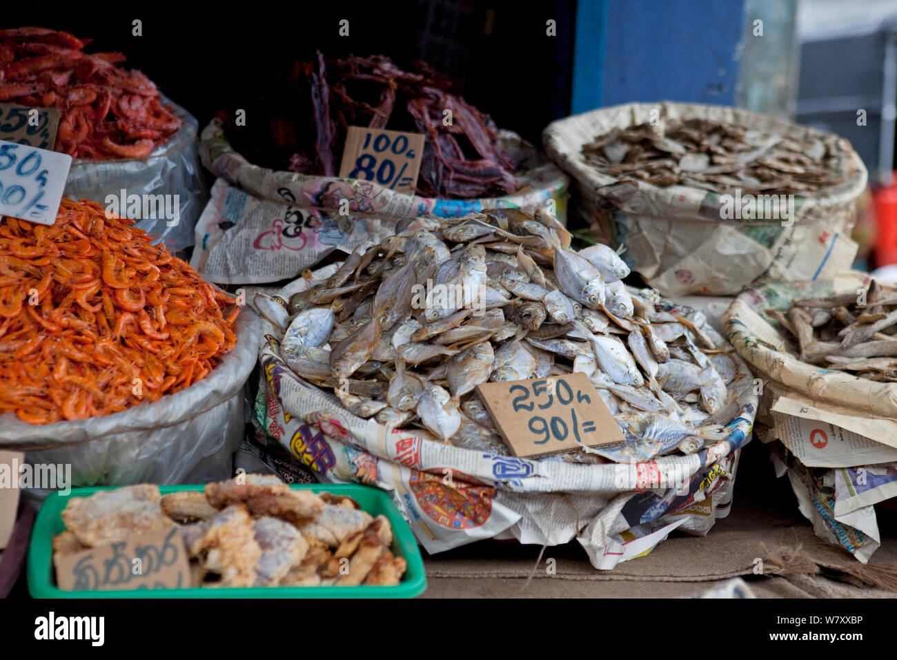 Dried fish for sale at market, Pettah, Colombo, Sri Lanka Stock Photo