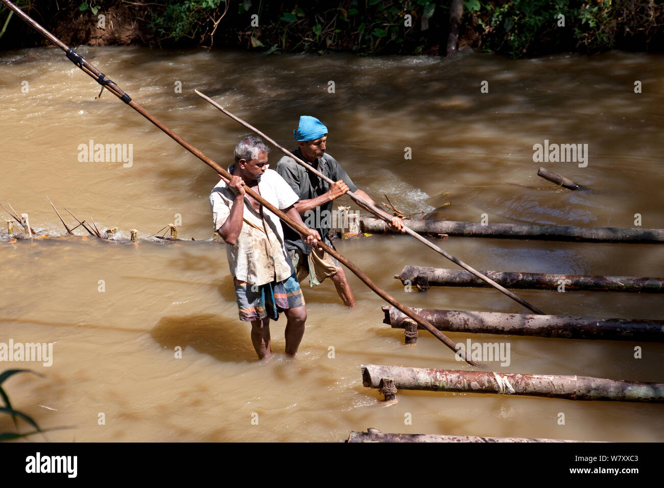 Mine workers dredging for gemstones, Ratnapura, Sri Lanka, December 2012. Stock Photo