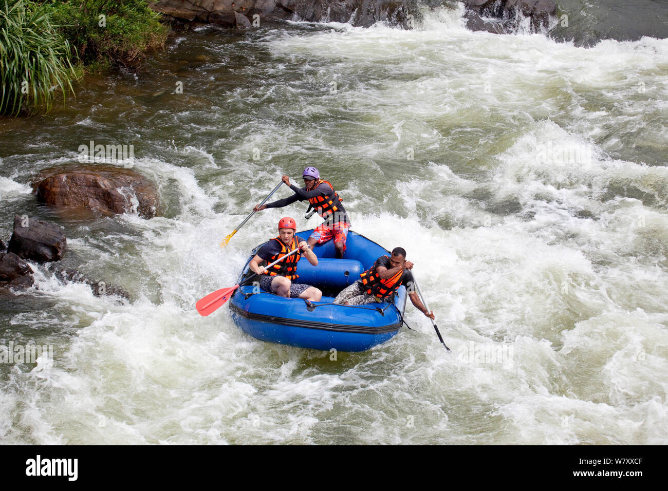 Tourists white water rafting on Kelani River, Sri Lanka, January 2013. Stock Photo