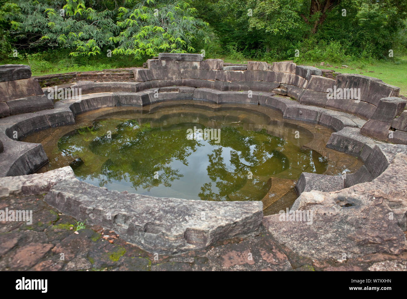 Lotus pond, Ancient City of Polonnaruwa, Sri Lanka Stock Photo Alamy
