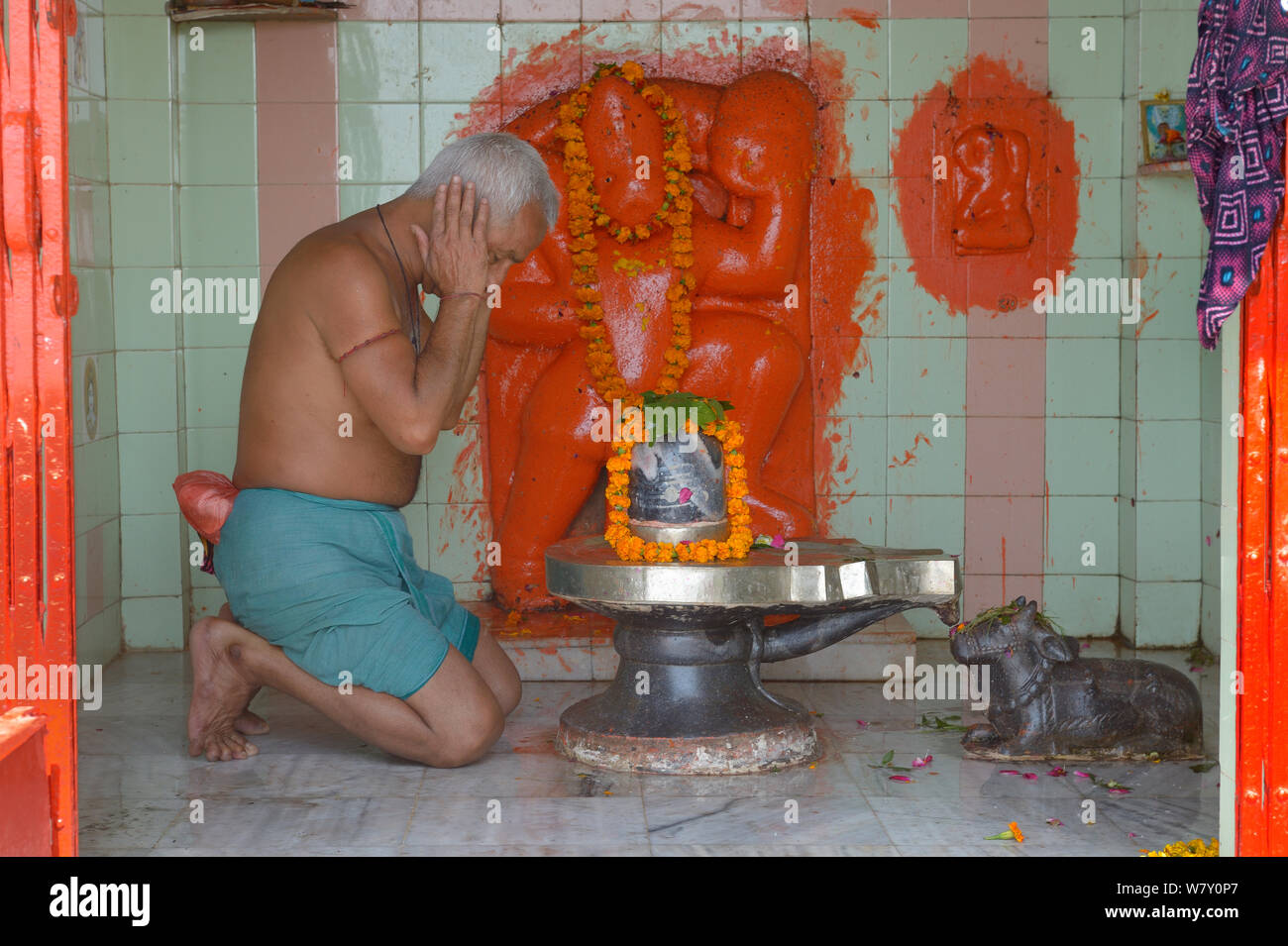 Man praying at temple on banks of the Ganges, Varanasi, Uttah Pradesh, India, March 2014. Stock Photo