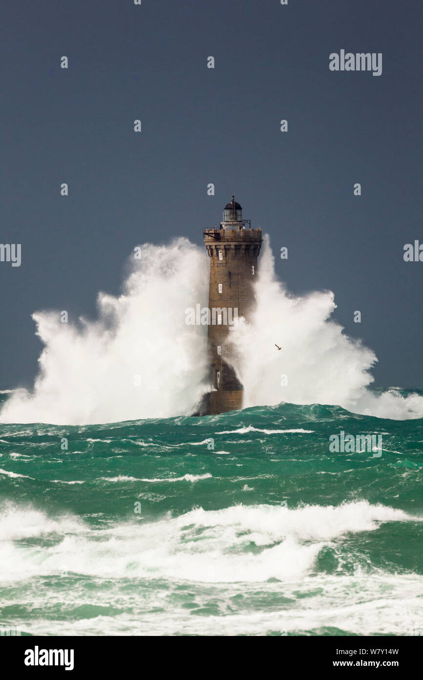 Waves lashing the Four Lighthouse during winter storm, Northern Brittany, France, December 2011. Stock Photo