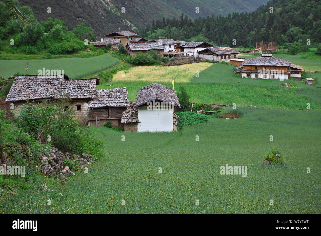 Village on Kawakarpo Mountain, Meri Snow Mountain National Park, Yunnan Province, China. Stock Photo