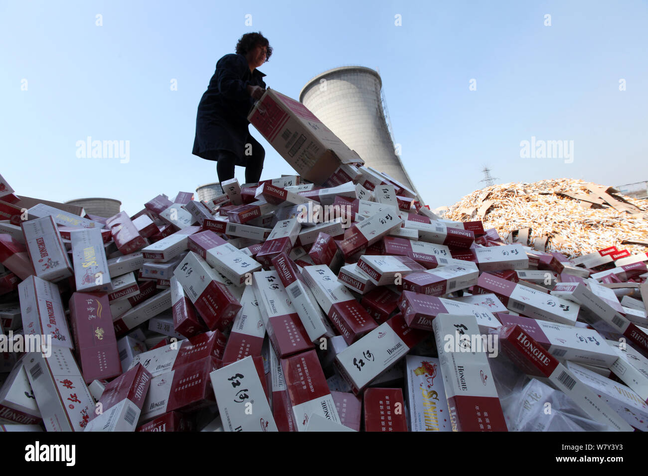 A Chinese employee pours the fake-brand and inferior cigarettes to be destoryed at a thermal power plant in Xuchang city, central China's Henan provin Stock Photo