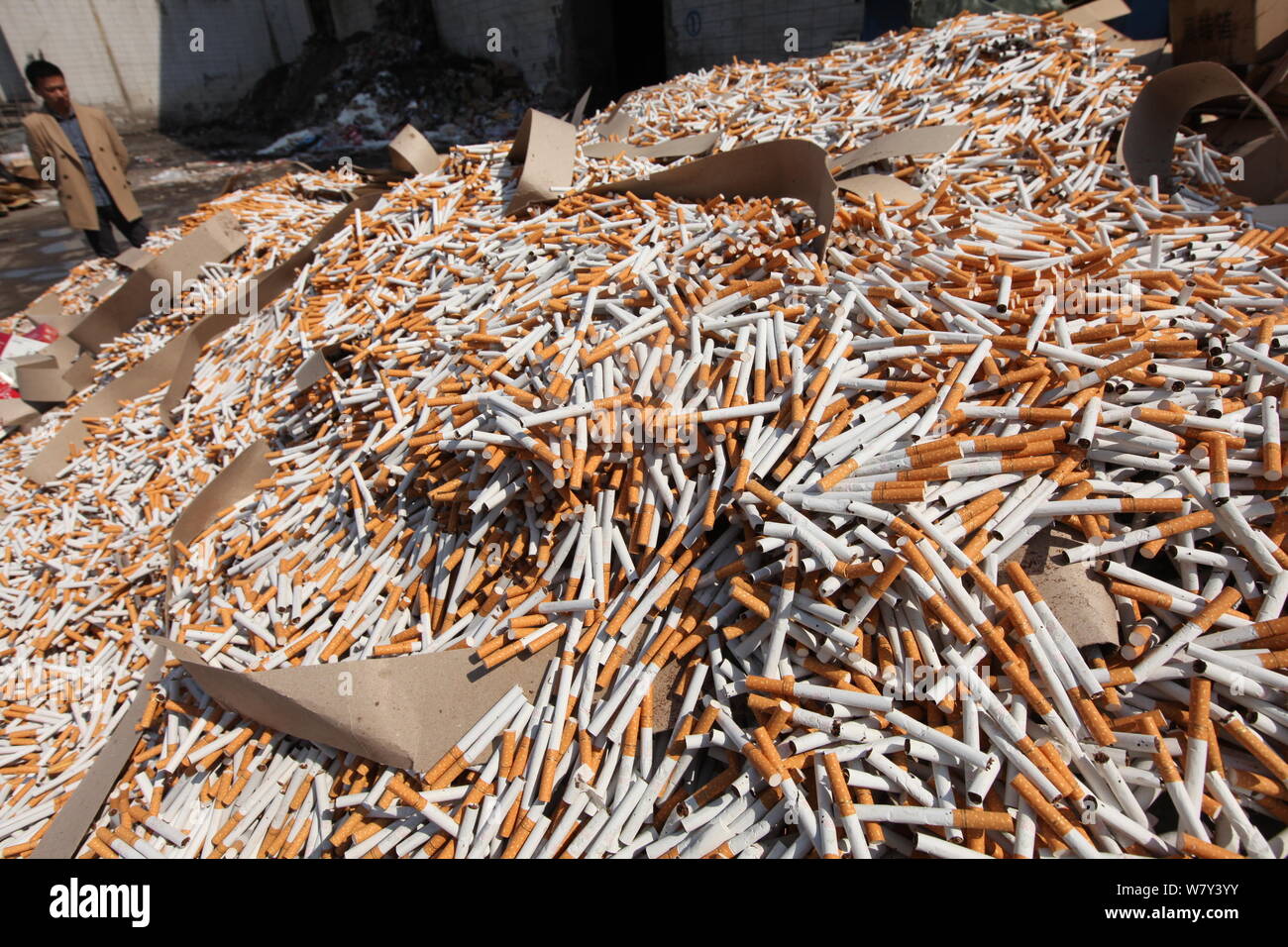 A Chinese looks at the fake-brand and inferior cigarettes to be destoryed at a thermal power plant in Xuchang city, central China's Henan province, 14 Stock Photo