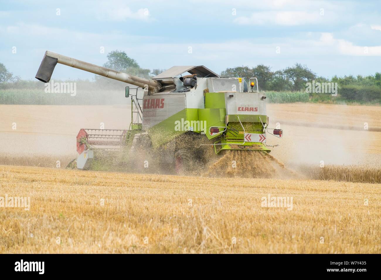 Claas Lexion 420 combine harvester fitted with straw chopper, Norfolk