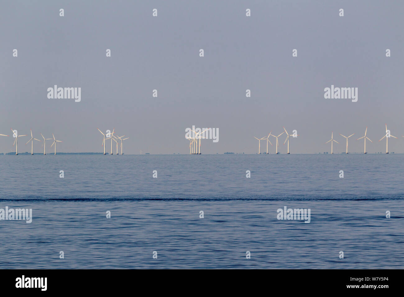 Wind turbines in a off shore wind farm. Mecklenburg Bight, Baltic Sea. June. Stock Photo