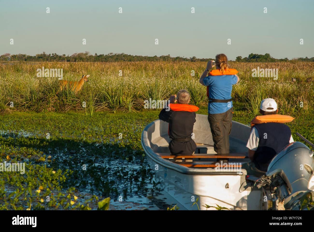 Tourists on boat for wildlife watching trip, Ibera Marshes, Corrientes Province, Argentina Stock Photo