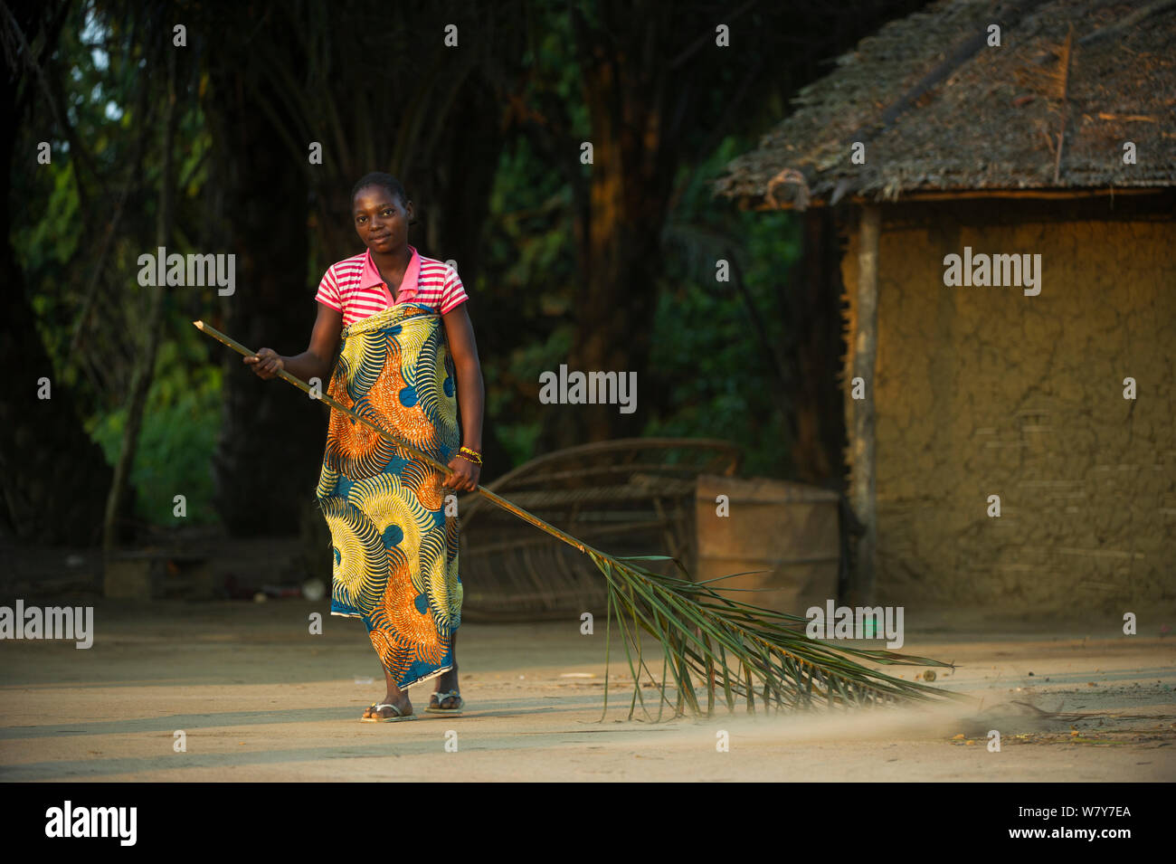 Woman sweeping with palm leaf, Republic of Congo (Congo-Brazzaville), Africa, June 2013. Stock Photo
