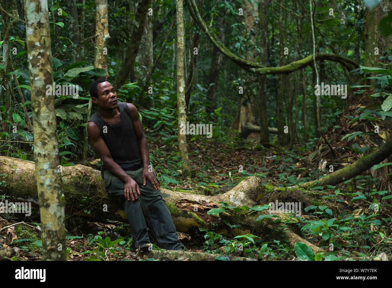 Norbert, local Wilderness Safari Pygmy guide, in forest. Ngaga, Republic of Congo (Congo-Brazzaville), Africa, June 2013. Stock Photo