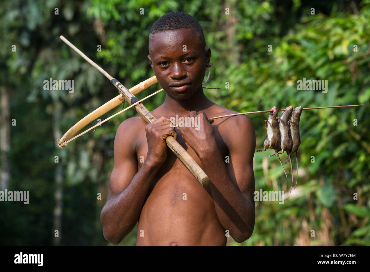 Boy with homemade crossbow used to shoot rats. Mbomo, Odzala-Kokoua National Park, Republic of Congo (Congo-Brazzaville), Africa, June 2013. Stock Photo