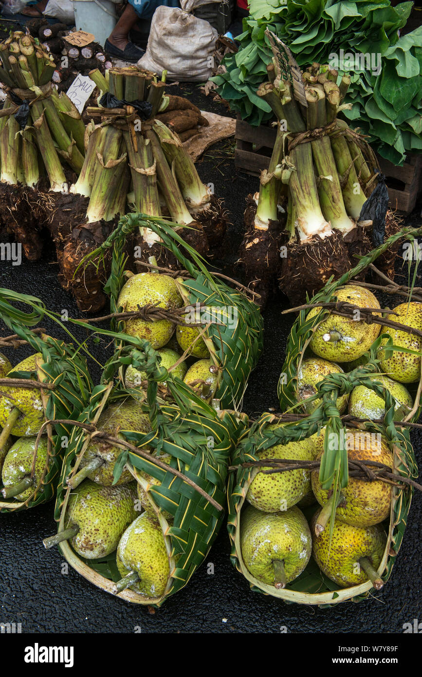 Breadfruit and Taro for sale, Suva Market, Viti Levu, Fiji, South Pacific, April 2014. Stock Photo