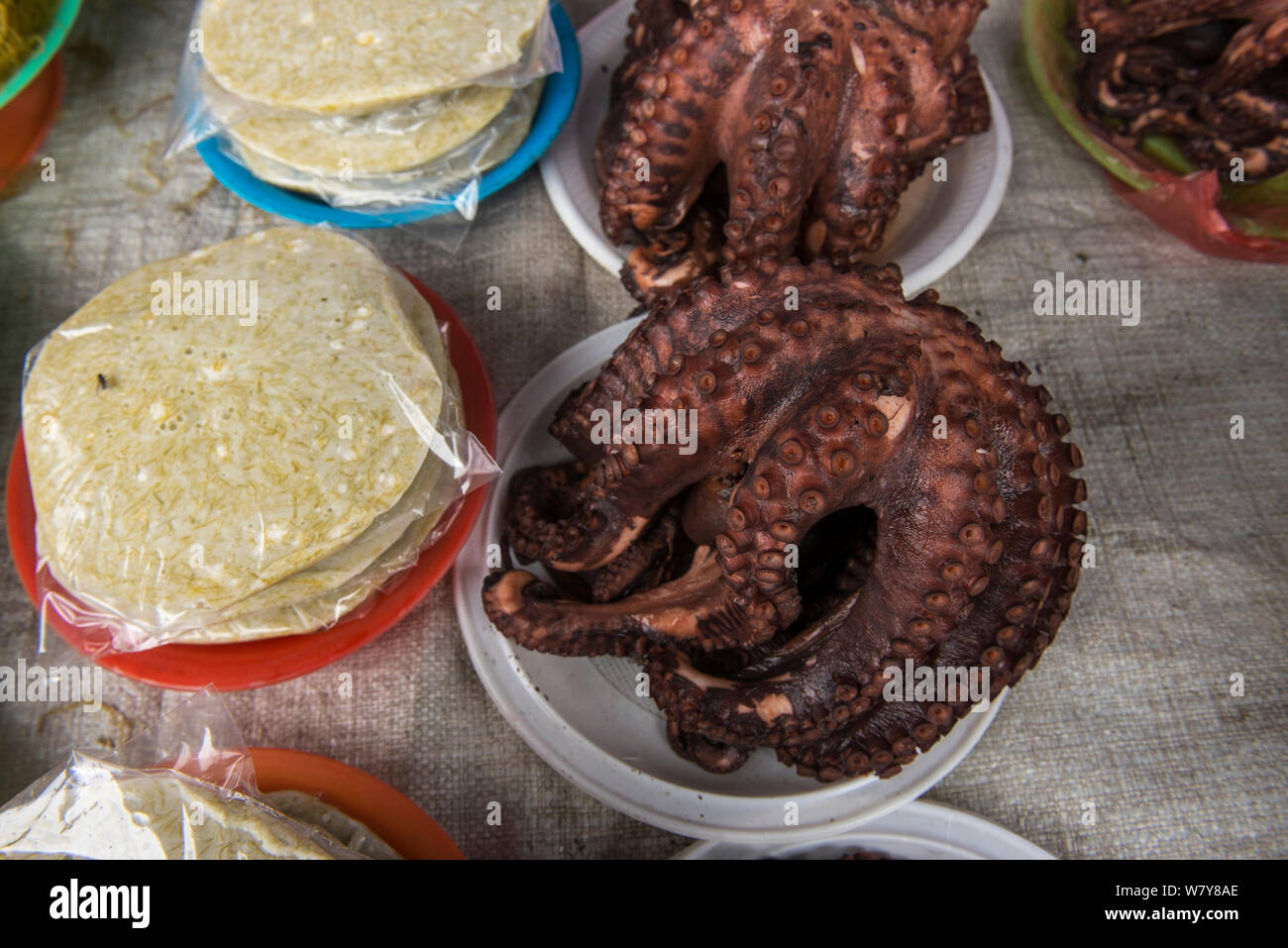 Octopus (Octopoda) for sale, Suva Seafood Market, Viti Levu, Fiji, South Pacific, April 2014. Stock Photo
