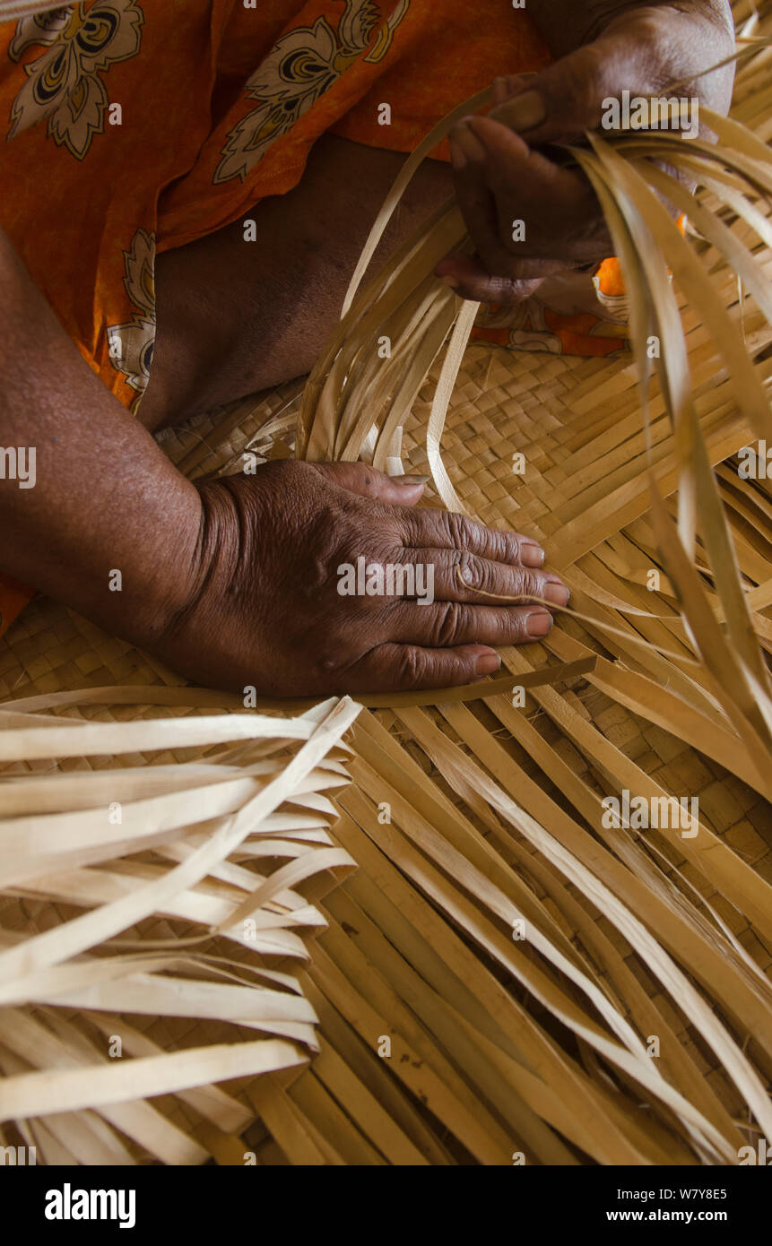 Woman weaving Pandanus mat (Pandanus sp) Kioa Island, Fiji, South Pacific, July 2014. Stock Photo