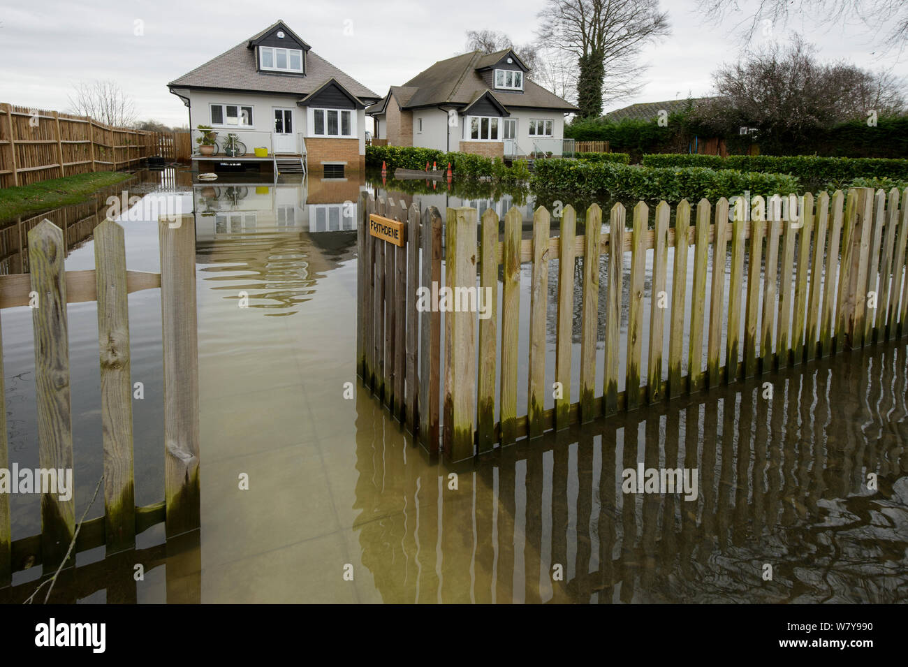 Homes flooded by River Thames, Chertsey, Surrey, UK, February 2014. Stock Photo