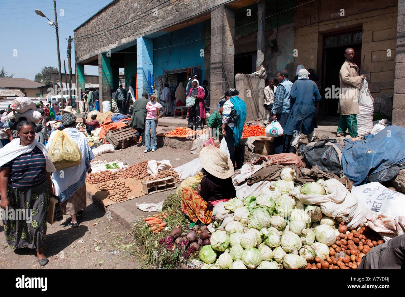 Addis Fruit & Vegetable Market Center, Addis Ababa