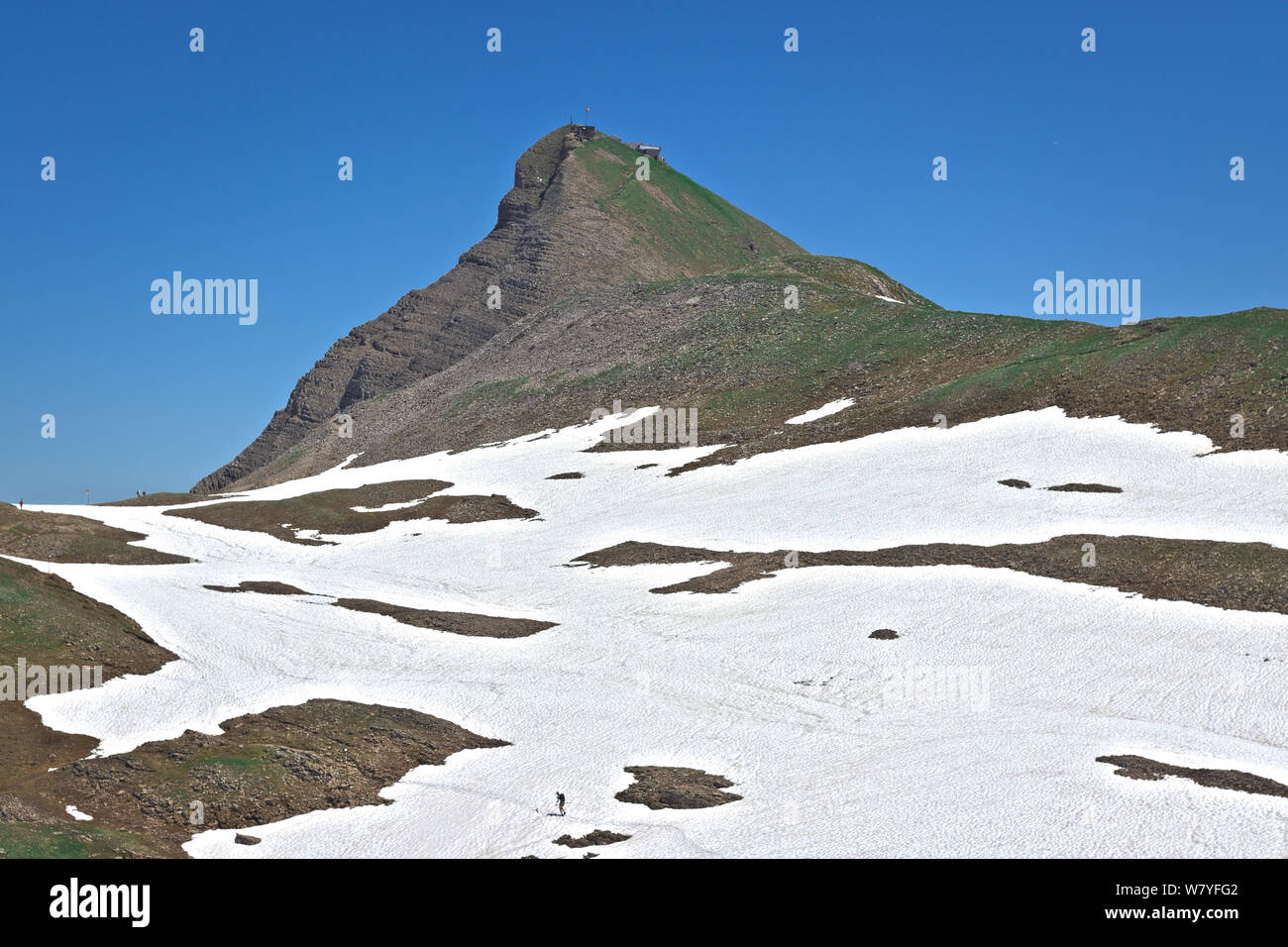scenic view of swiss alpine mountain faulhorn and snow fields with small distant hiker. Alpine mountain landscape in jungfrau region. Stock Photo