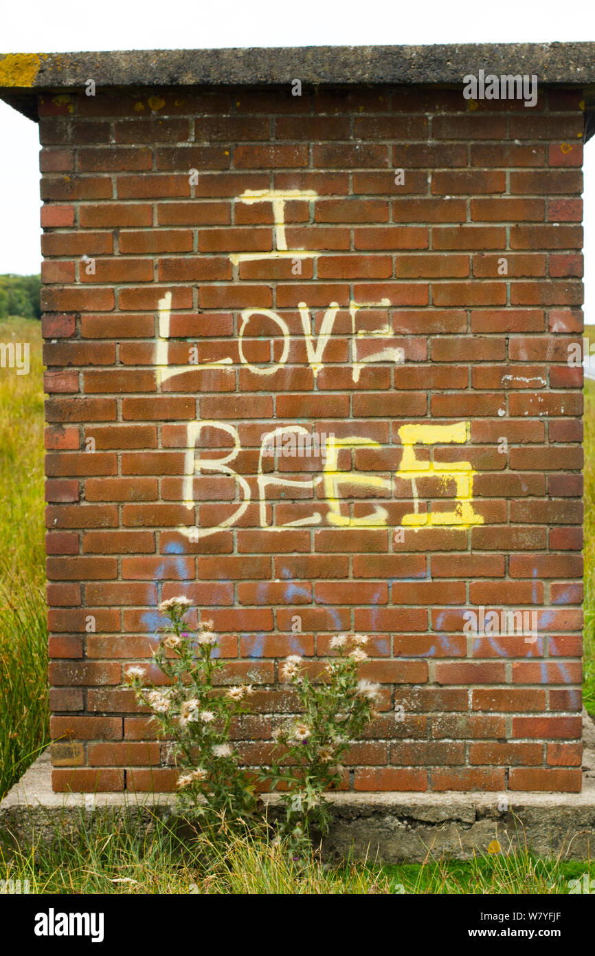 Graffiti on old bus stop saying &#39;I love bees&#39;, Gower, West Wales, UK. August 2014. Stock Photo