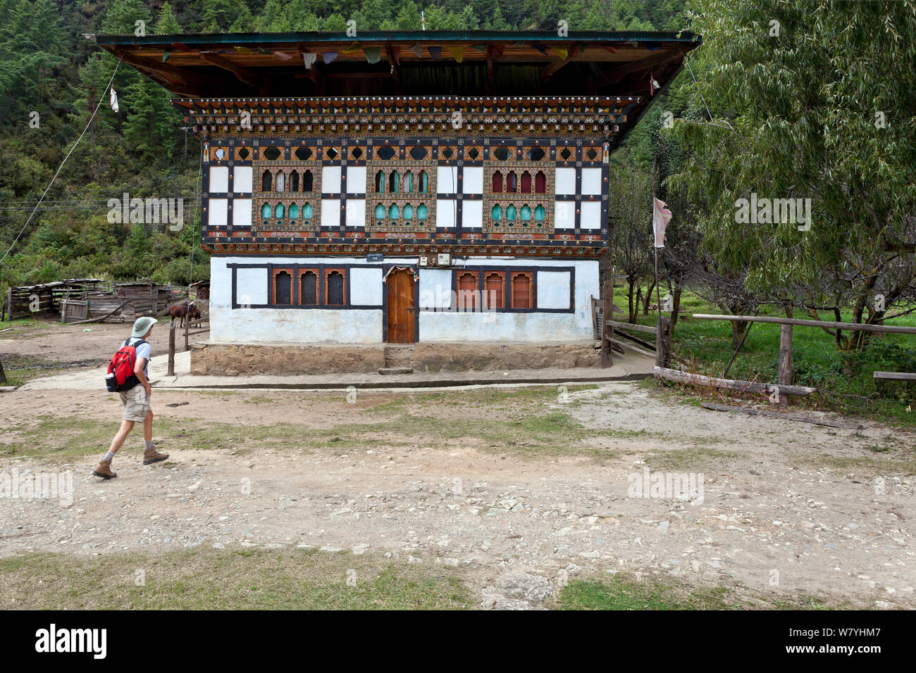 Hiker on the Jhomolhari Trek, passing by a traditional farm house, Paro River Valley.  Bhutan, October 2014. Model released. Stock Photo