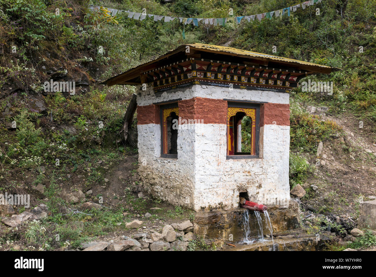 Phallic water spout on a stupa (chorten) inspired by the &#39;Divine Mad Man&#39; Drukpa Kunley who is said to have given blessings to women via intercourse, Paro River Valley. Bhutan, October 2014. Stock Photo