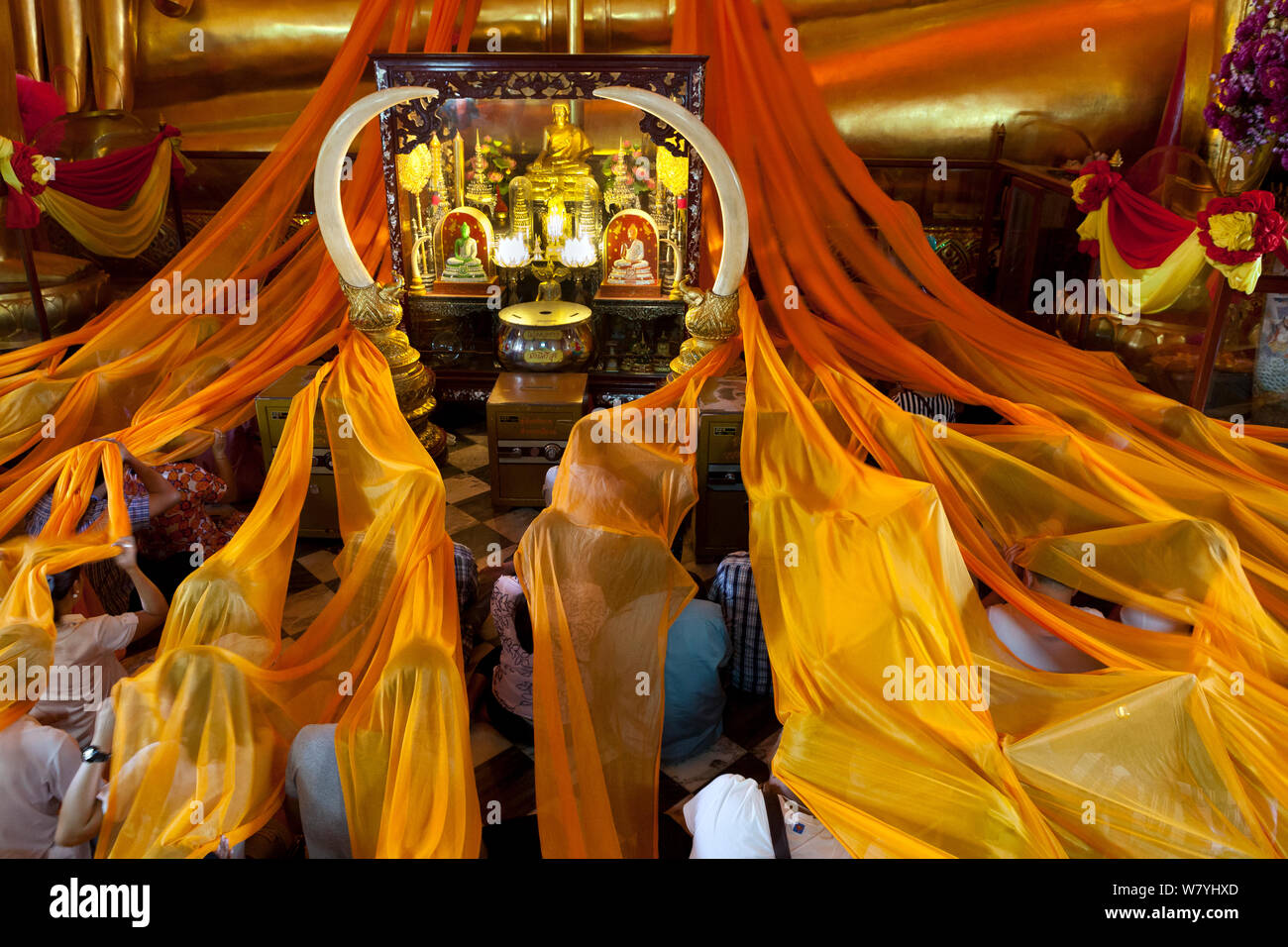 Ceremony adorning golden statue of the Buddha in yellow sashes,  Wat Phanan Choeng, Ayutthaya. Thailand, September 2014. Stock Photo