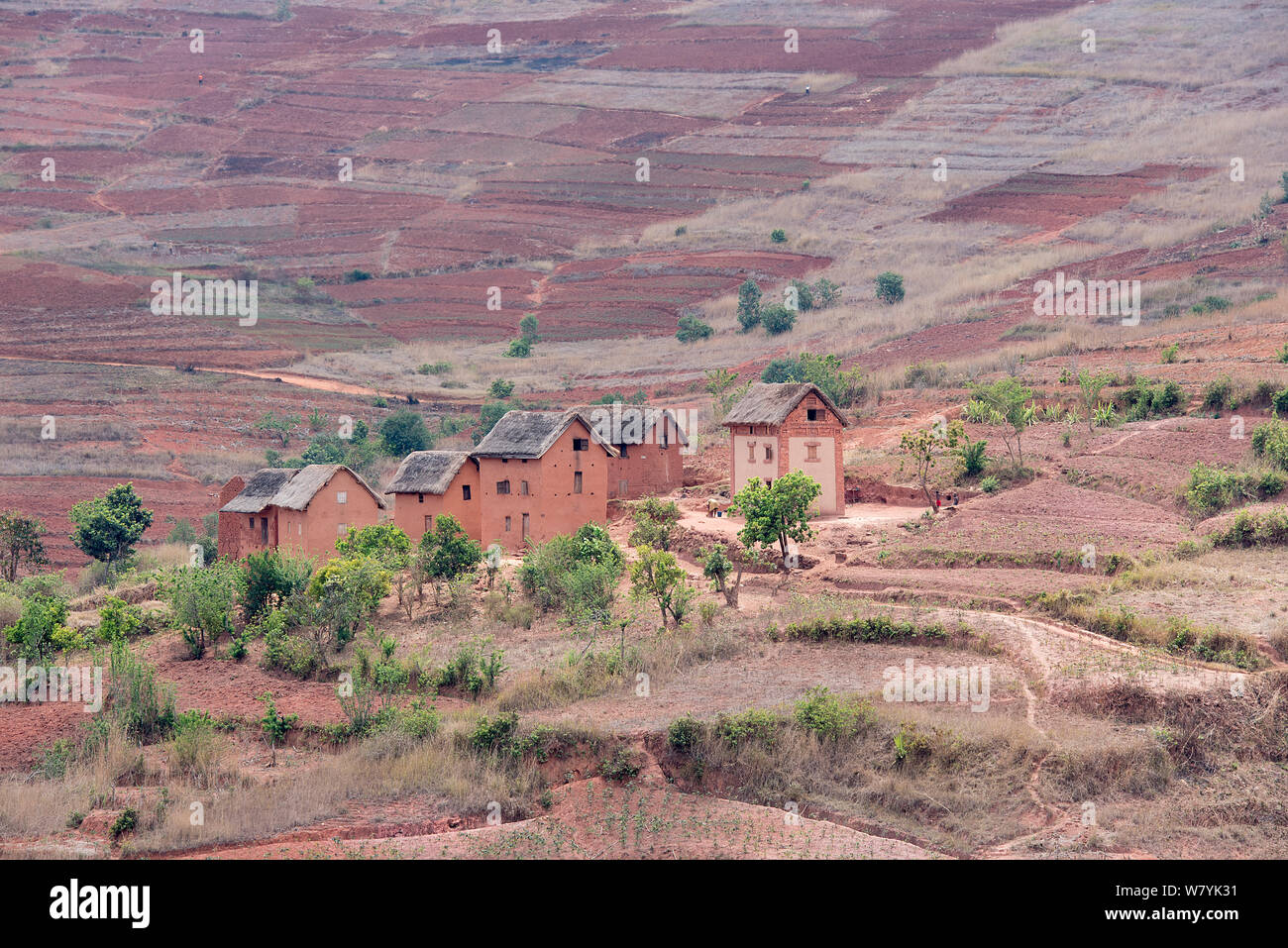 Houses in eroded landscape along the RN7 between Antsirabe and Fianarantsoa , Madagascar. Stock Photo