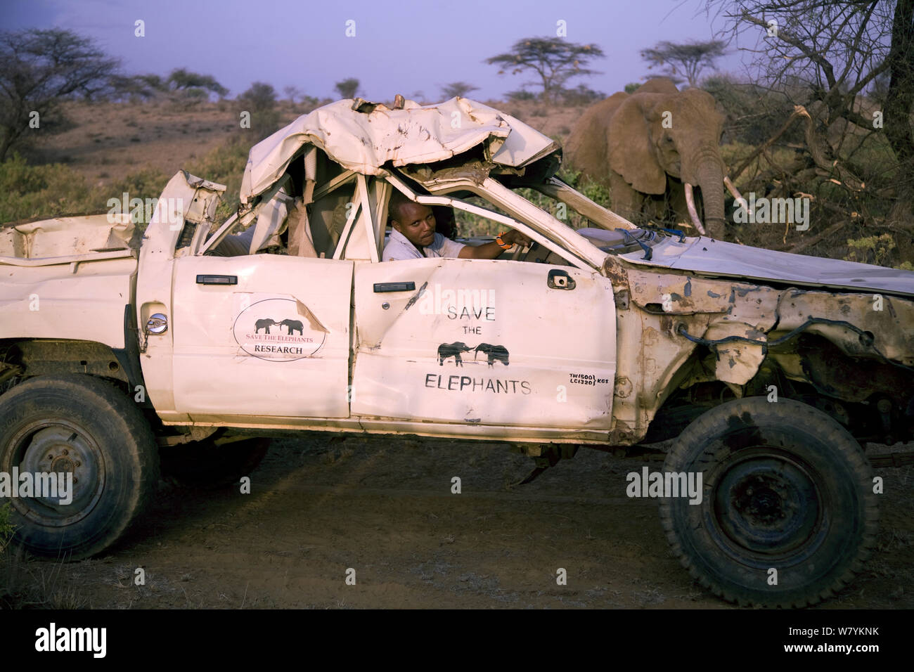 Daniel Lentipo driving the former research vehicle destroyed by bull elephant in Samburu National Reserve, Kenya. August 2009. Model Released. Stock Photo