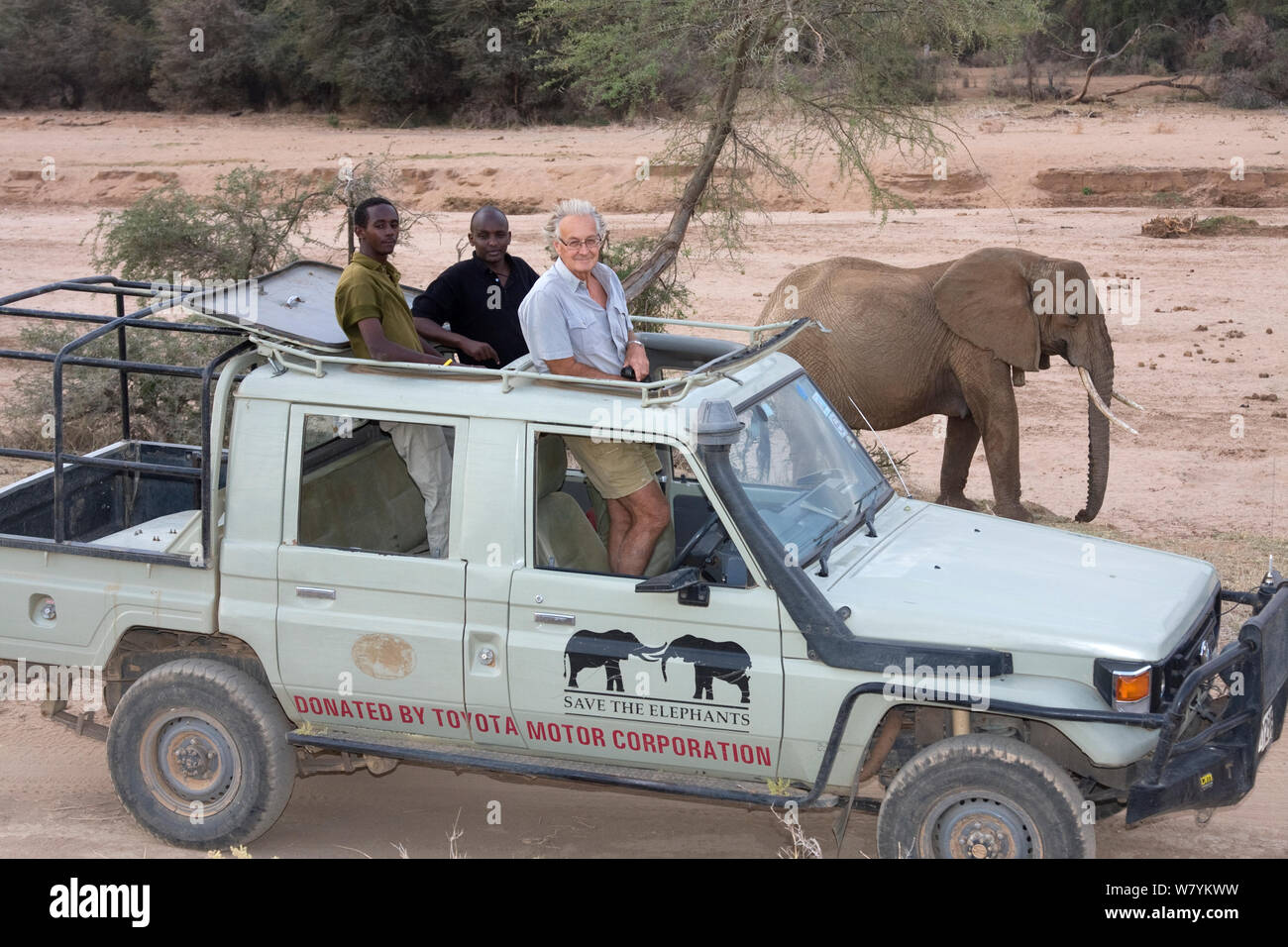 Iain-Douglas-Hamilton and team watching African elephant (Loxodonta africana) whilst out on research in Samburu National Park, Kenya. Model released Stock Photo