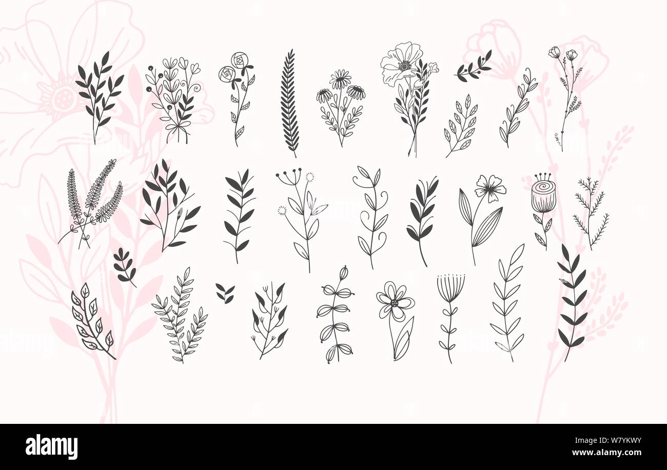 minimalistic flower graphic sketch drawing trendy tiny tattoo design  floral botanic elements vector illustration Stock Vector Image  Art  Alamy