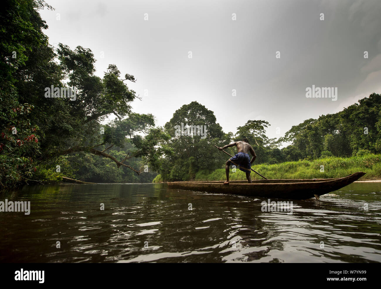 Fisherman on river, Salonga National Park, Democratic Republic of Congo. September 2009. Stock Photo